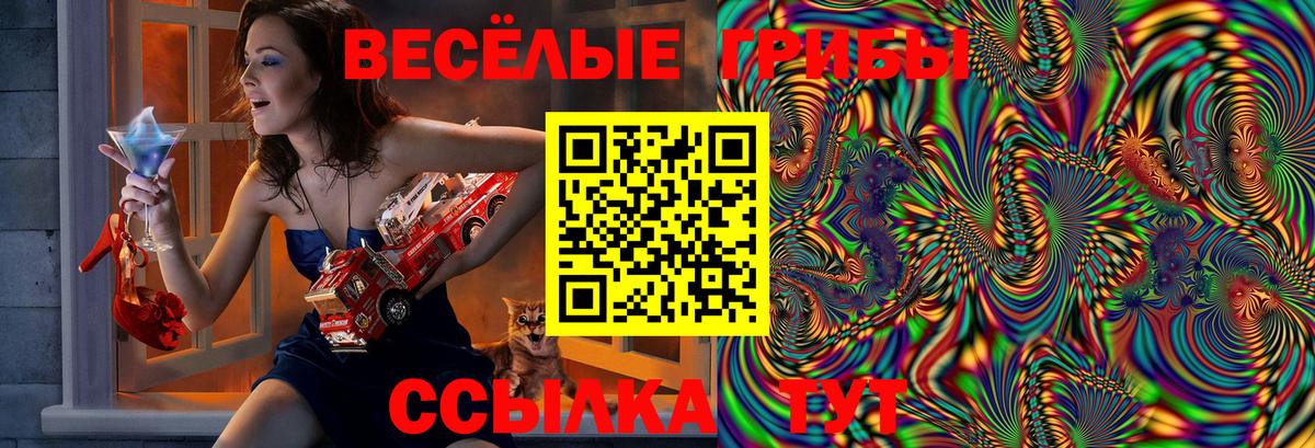 Псилоцибиновые грибы Psilocybine cubensis  Вход с VPN  Бор  Псилоцибиновые грибы мицелий 